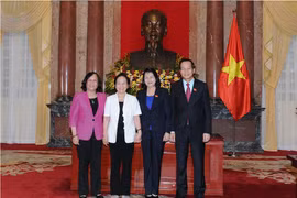 Vice President takes over Chair of NFVC