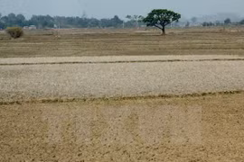 Measures to save Central Highlands from drought
