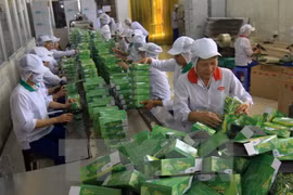 Global economic integration requires green technology: forum 