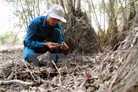 Seawater intrudes Ramsar sites in Mekong Delta 