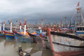 Ca Mau fishermen equipped with communication devices