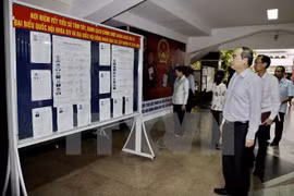 VFF President hails Ho Chi Minh City’s election organisation 