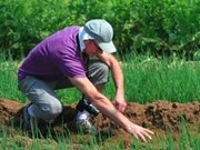 Nature's bounty brings prosperity to Hoi An