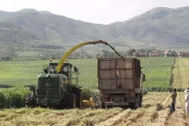 IFAD continues to back Vietnam in agricultural development 