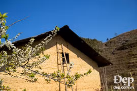 Flower blooming season in Moc Chau
