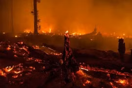 Indonesia declares emergency due to forest fires 