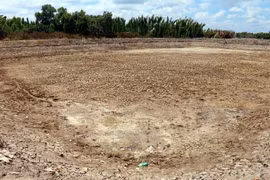 Mekong Delta farmers need be careful starting new crop 