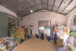 Farm produce exports mainly raw materials