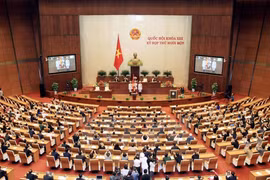 Lam Dong workshop reviews NA’s 70-year development