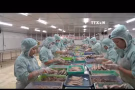 Vietnam’s export value tops 140 billion USD