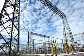 EVN reports official 2014 profit