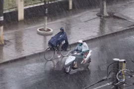 Downpour brings relief to drought-stricken Long An