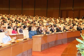 Heavy tasks wait for 14th National Assembly deputies 