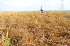Youth help residents in drought-hit areas access drinking water