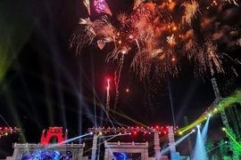 Fireworks display celebrates Hung Kings Temple Festival