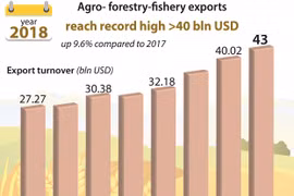 Agro- forestry-fishery exports reach record high in 2018