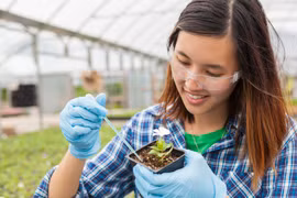 Women in STEM scholarship programme for excellent students to universities in the UK (Photo: VietnamPlus)