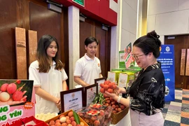 Hung Yen lychees favoured by consumers (Photo: VietnamPlus)