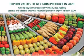 Export values of key farm produce in 2020