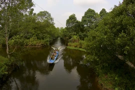 Untouched beauty of Lung Ngoc Hoang Nature Reserve