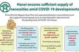 Hanoi ensures sufficient supply of necessities amid COVID-19 developments