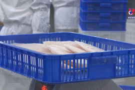 More aquaculture establishments allowed to export to markets