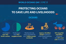 Protecting oceans to save life and livelihoods