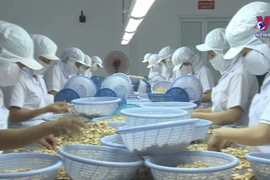 Cashew industry moves to maintain world's top spot