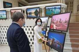 Art exhibition bridges Vietnam and Egypt