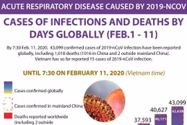 2019-nCoV situation by February 11