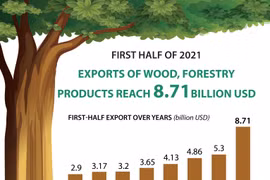 Exports of wood and forestry products hit 8.71 billion USD