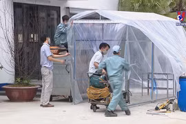 Workplace initiatives introduced to prevent pandemic