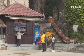 Tourism hotspots in Da Nang gets cold due to 2019-Covid