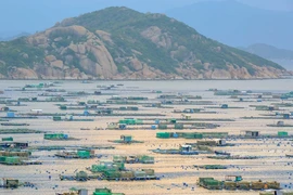 Binh Ba – ‘Island of lobster’ on Cam Ranh Bay
