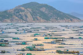 Binh Ba – ‘Island of lobster’ on Cam Ranh Bay