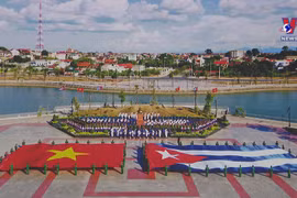 Vietnam treasures solidarity, friendship with Cuba: Deputy PM