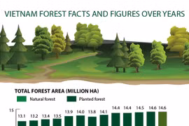 Vietnam forest facts and figures over years