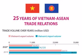 25 years of Vietnam-ASEAN trade relations
