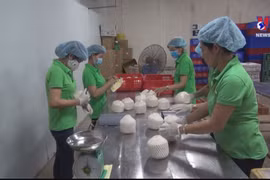 Vietnam’s coconut export to reach 1 billion USD in 2025