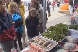 Vietnamese festival in France impresses visitors
