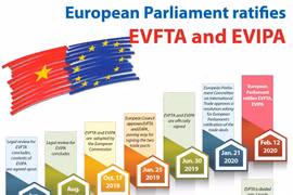 European Parliament ratifies EVFTA and EVIPA