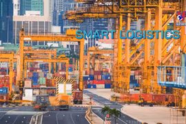 Rising competition from RCEP
