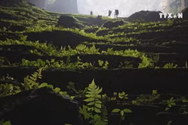 Son Doong Cave voted as new wonders of the world