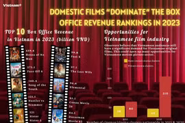 Domestic films "dominate" box office in 2023