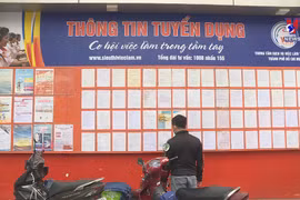 Tour guides forced out of work by COVID-19