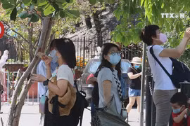 Foreign arrivals may fall 60% amid Covid-19 epidemic