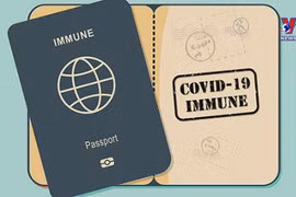 Pilot on welcoming vaccine passport holders under consideration