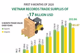Vietnam records trade surplus of 17 billion USD in first 9 months of 2020