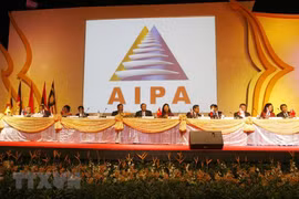 Vietnam actively contributes to building AIPA