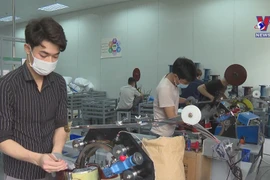 Bac Ninh’s IPs strive to realise dual goals